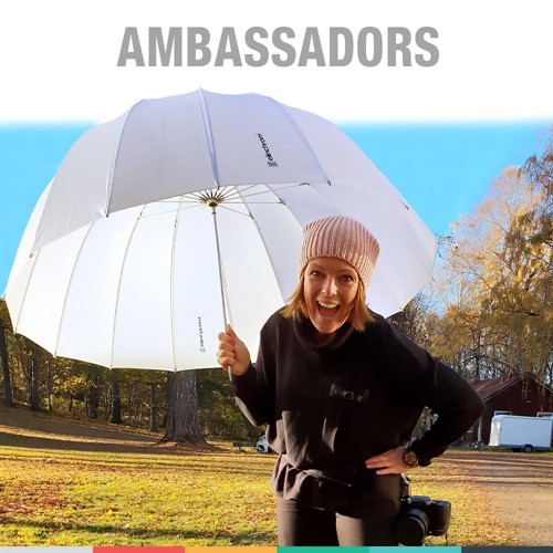Ambassadors