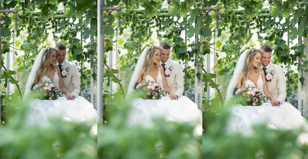 3 images aligned, showing differences in light